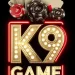 K9 Game